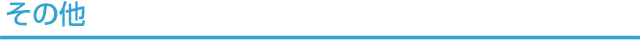 その他